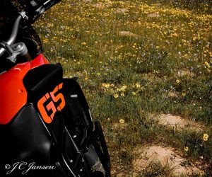 GS in flowers