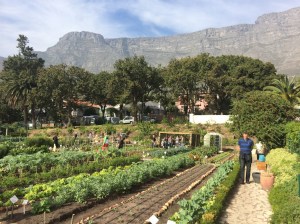 Oranjezicht City Farm