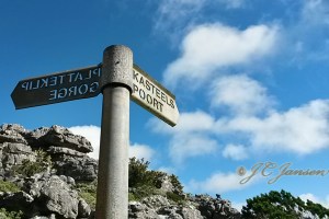 Choose the direction