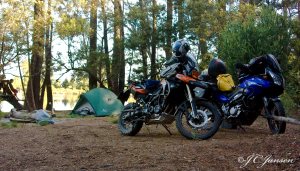 Petervale Guest Farm